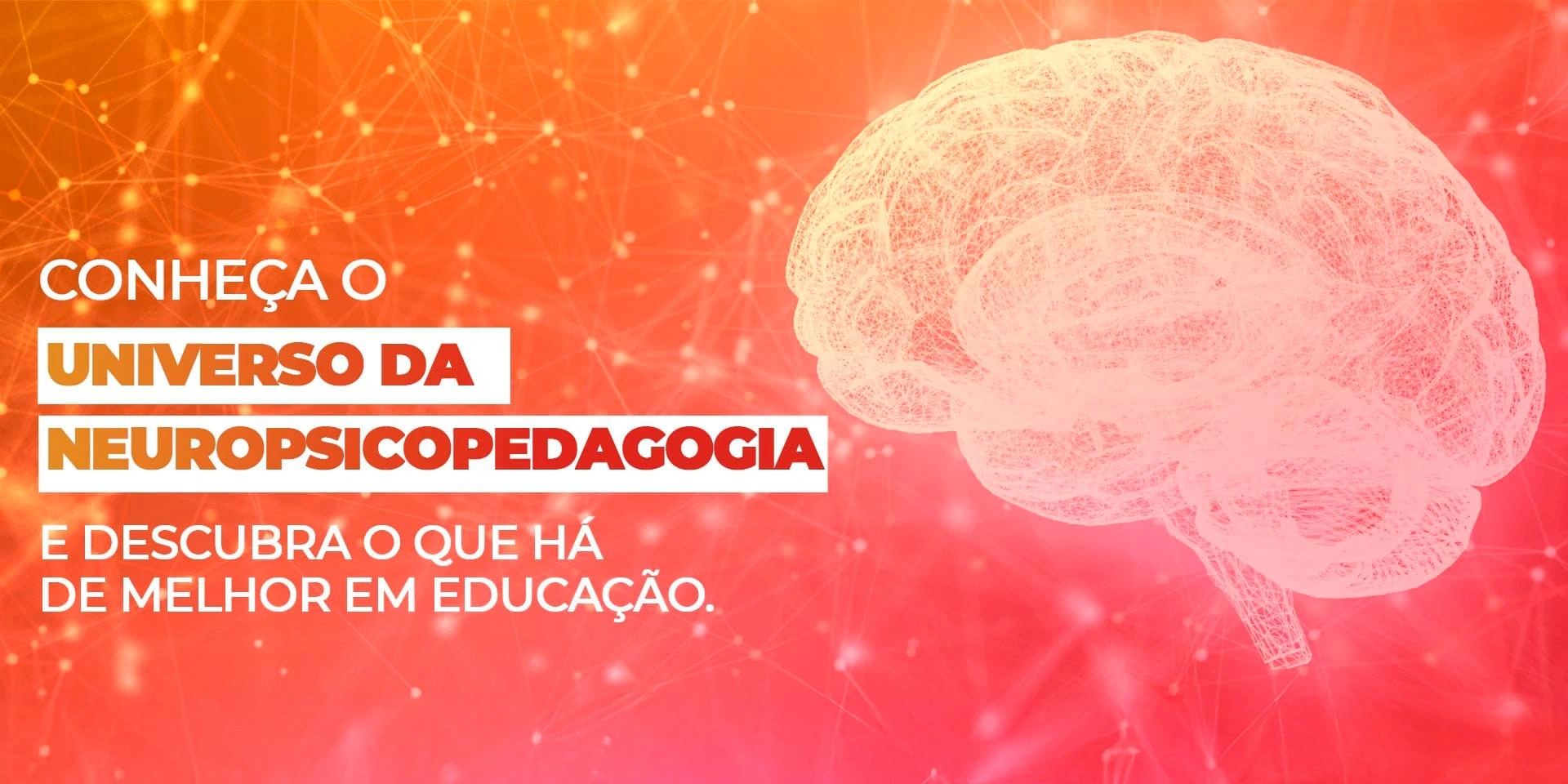 Universo da Neuropsicopedagogia